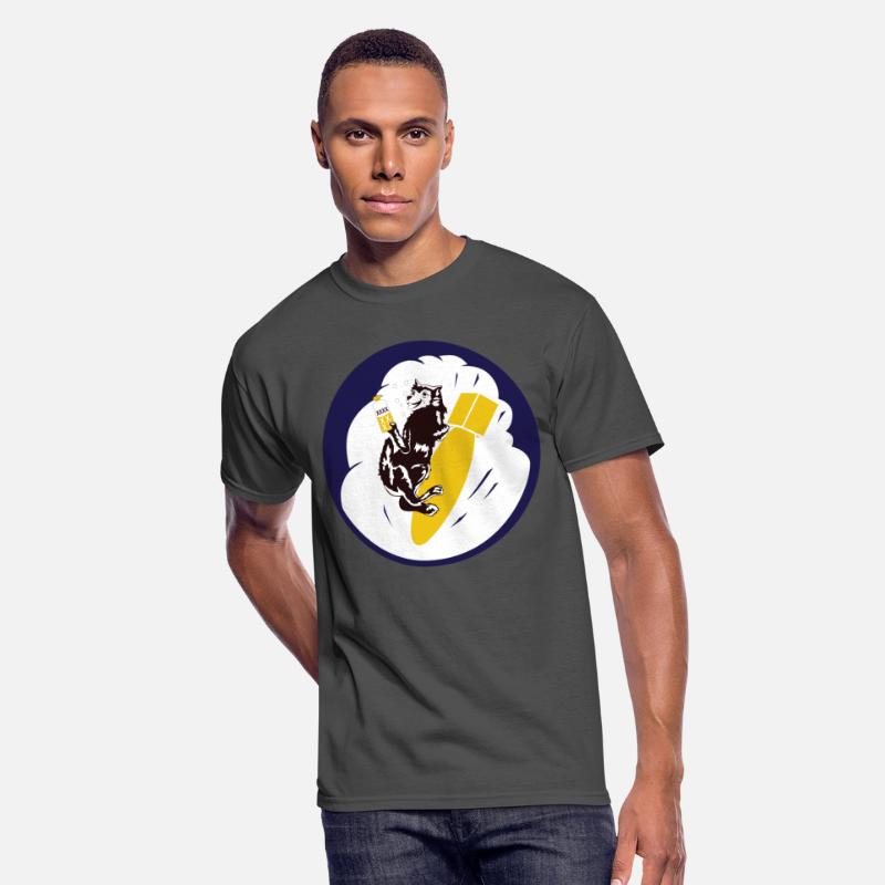 SSI AAC 422nd Bomb Squadron wo Txt X 300