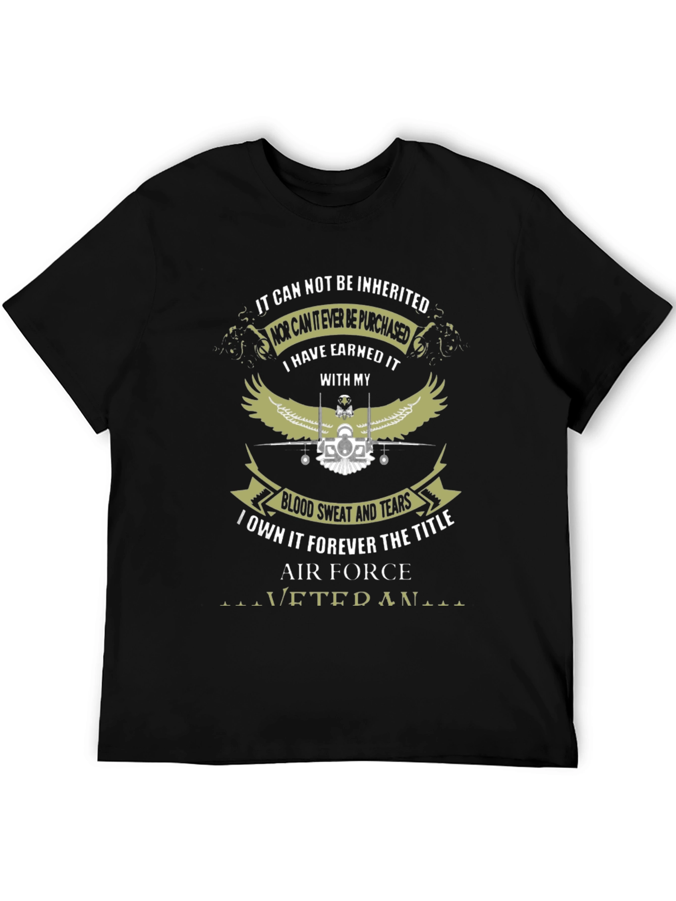 Air Force Veteran Graphic T-Shirt