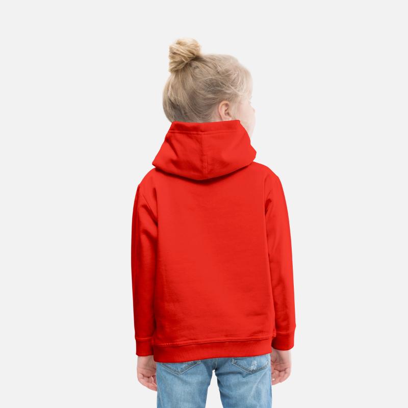 winter feline snowboarding adventure