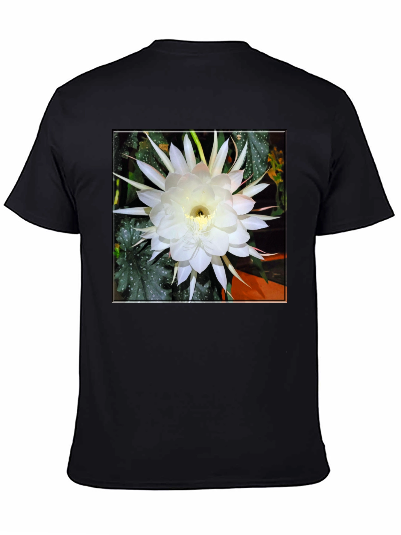 Night Blooming Cereus Flower Graphic T-Shirt