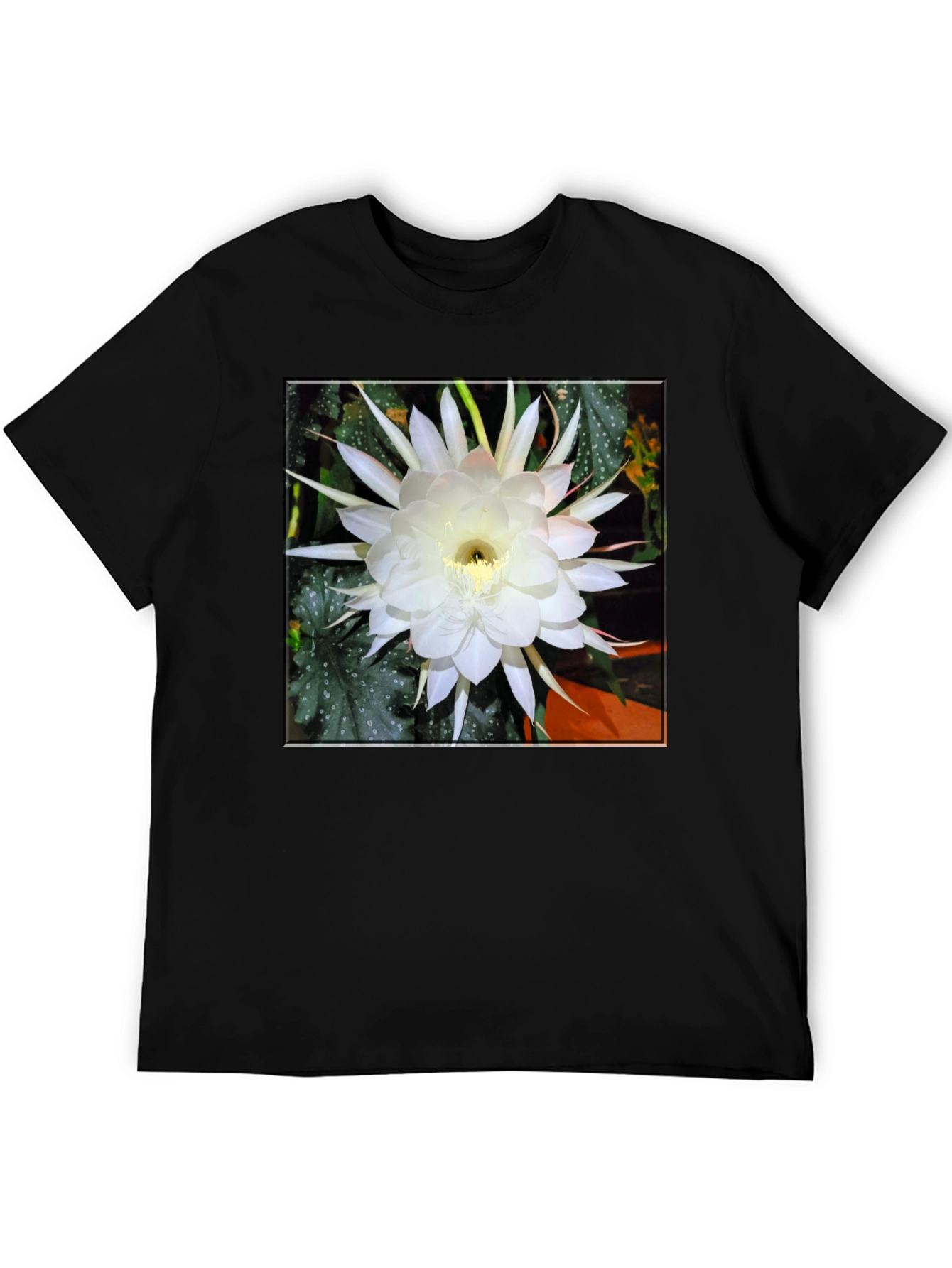 Night Blooming Cereus Flower Graphic T-Shirt