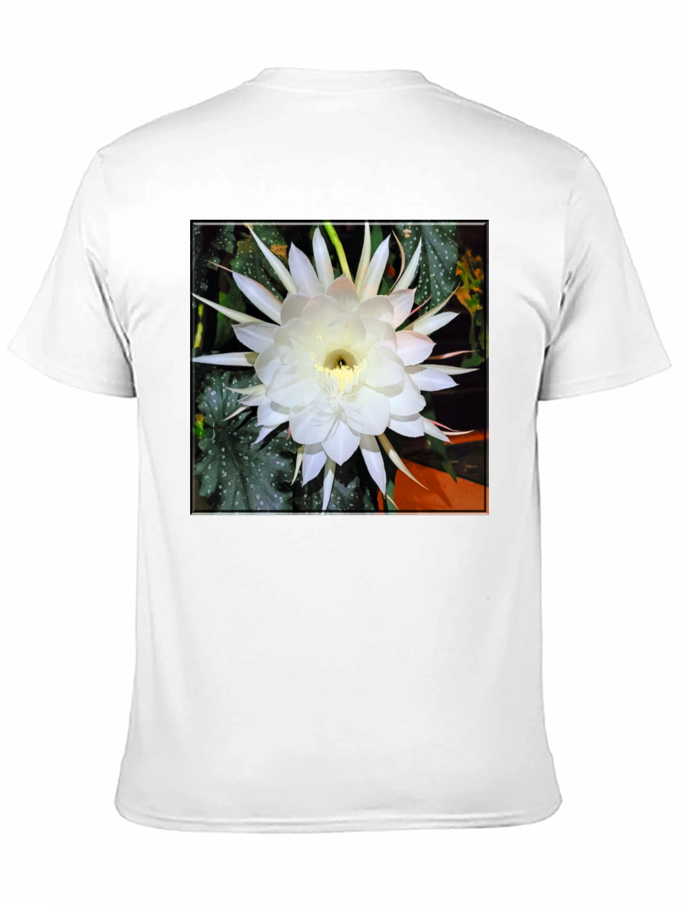 Night Blooming Cereus Flower Graphic T-Shirt