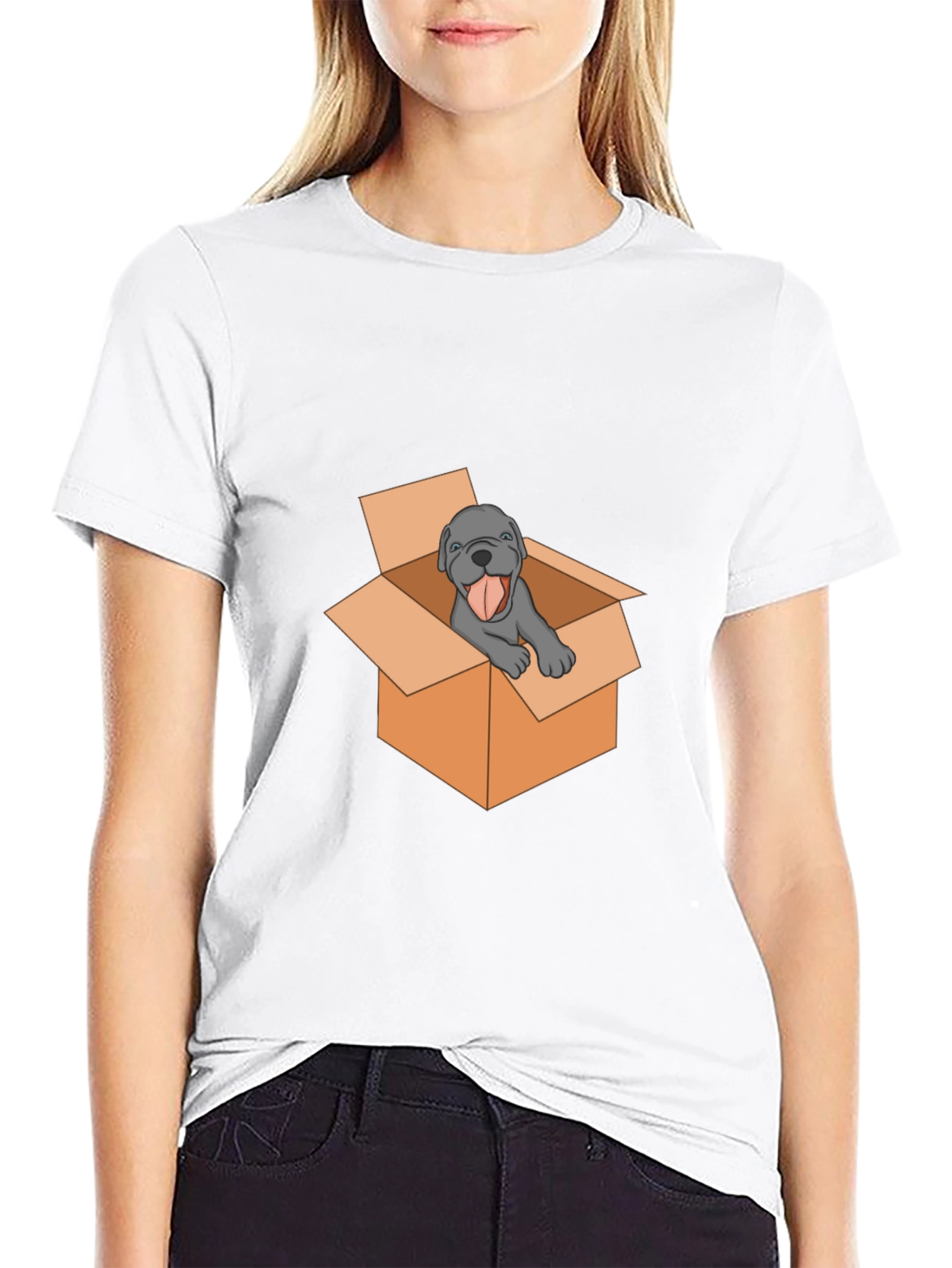 Dog in Box Graphic Tee - Mens Black T-Shirt