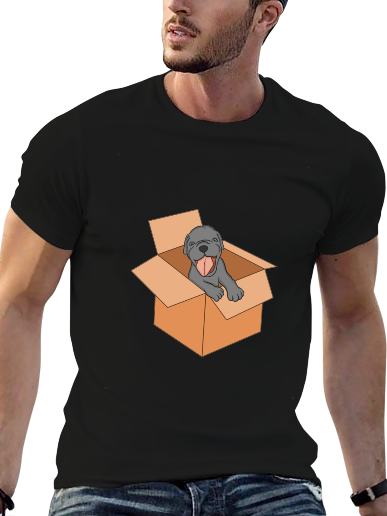 Dog in Box Graphic Tee - Mens Black T-Shirt
