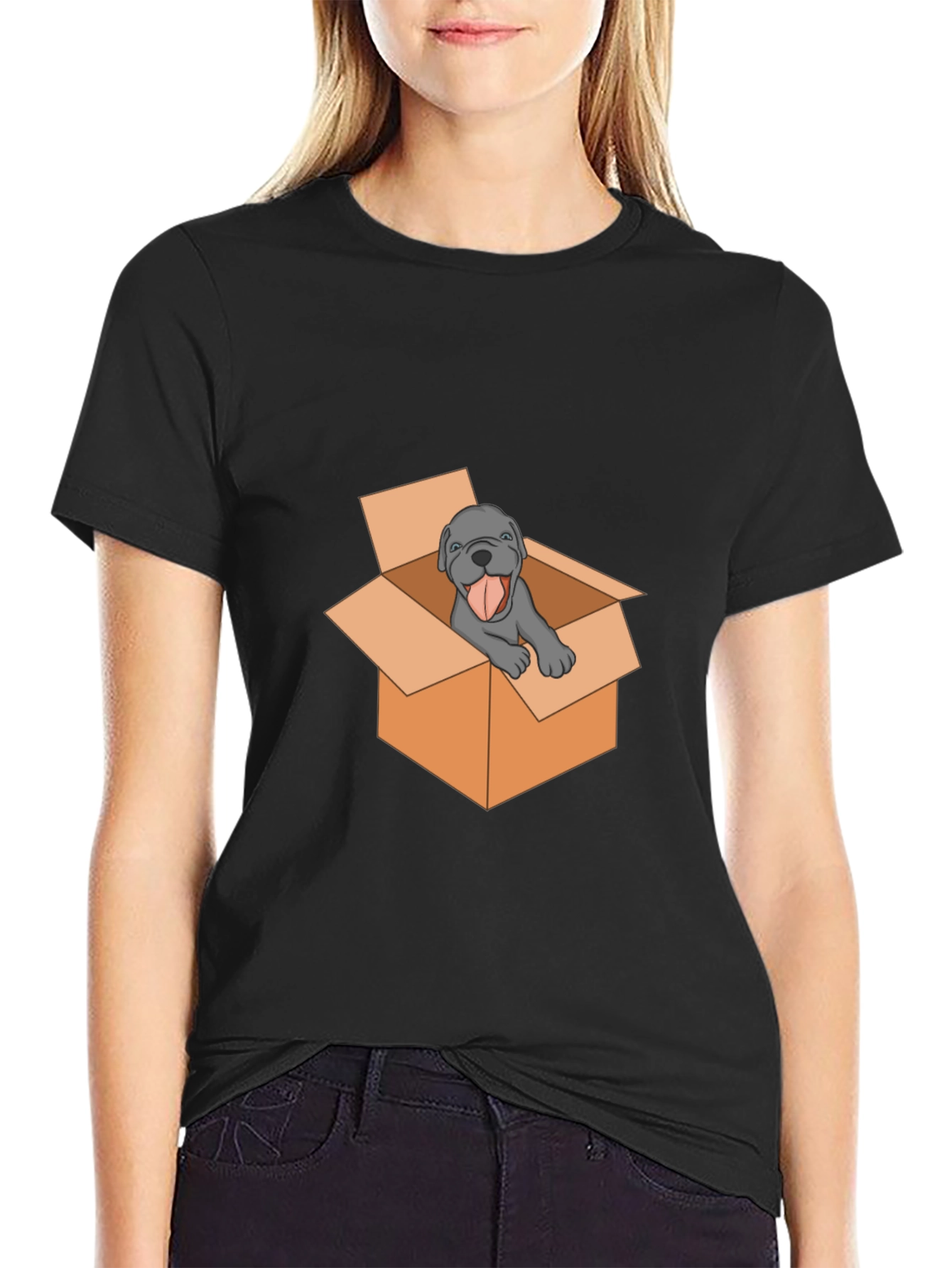 Dog in Box Graphic Tee - Mens Black T-Shirt