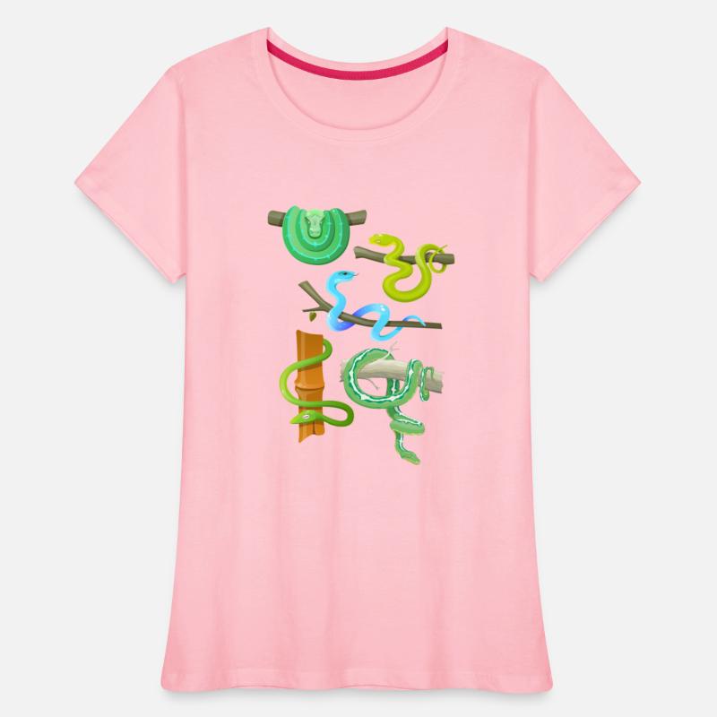 Educational Species And Kinds Of Snakes