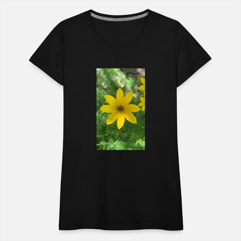 Ephemeral flowers of life - 1