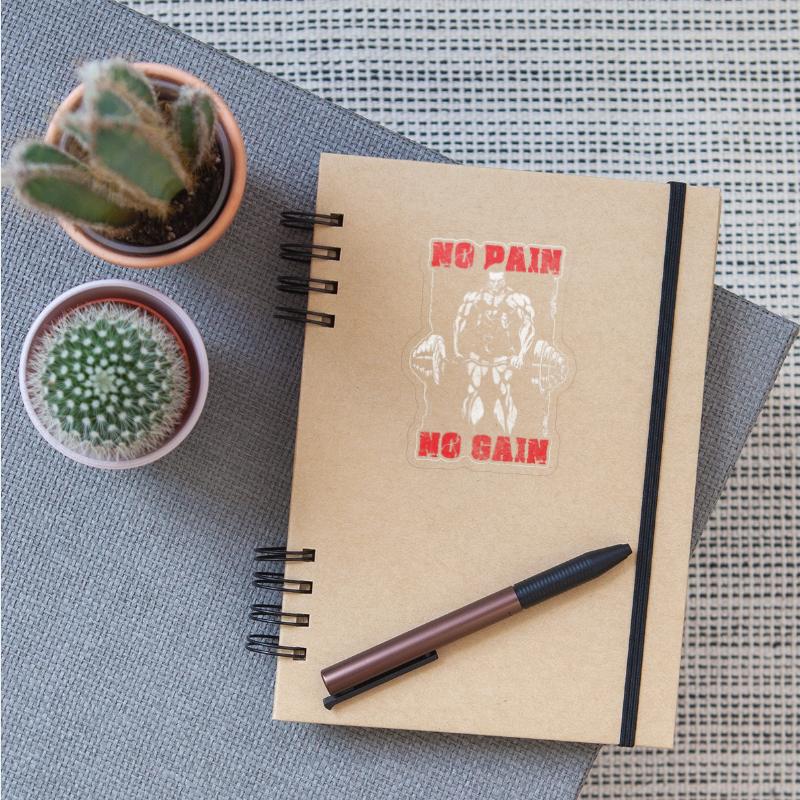 Fitness Gym Muscles Muscle