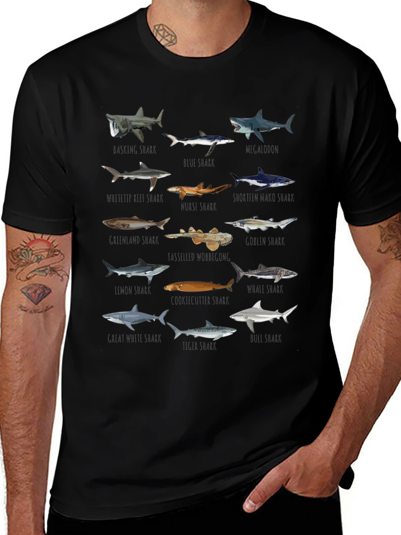 Sharks of the World Graphic Tee