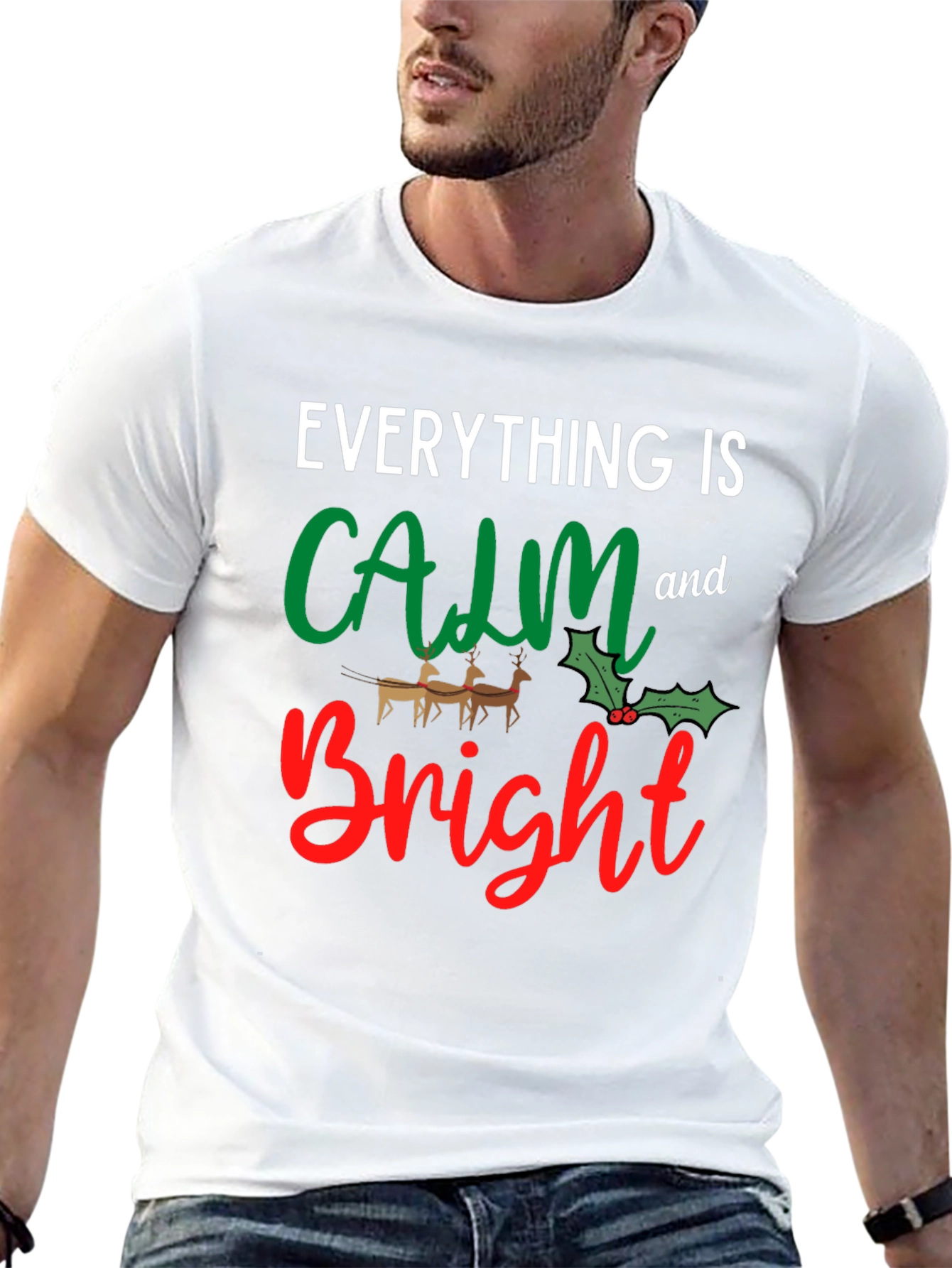 Everything is Calm and Bright T-Shirt