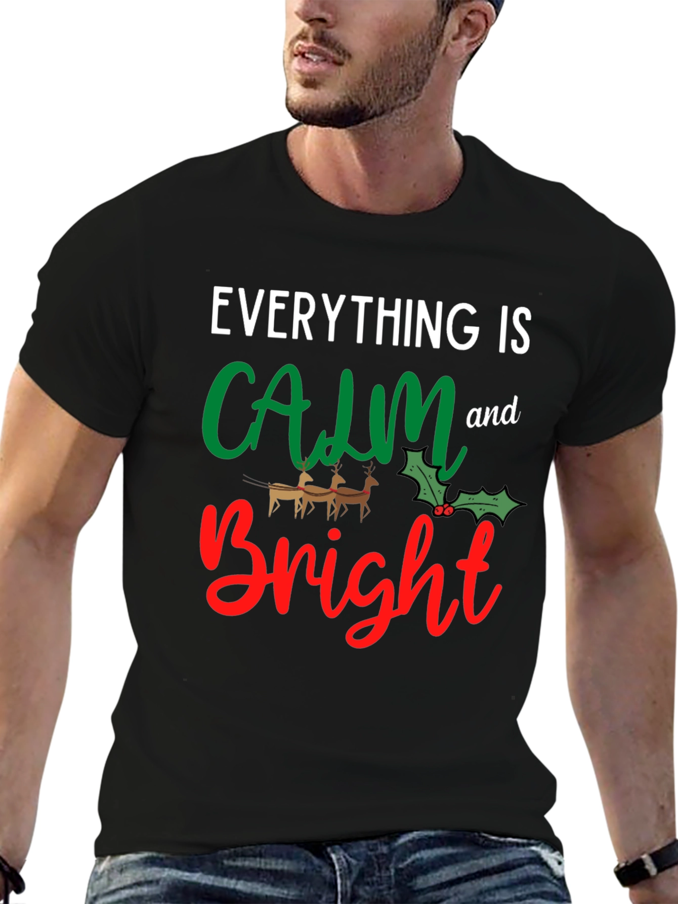 Everything is Calm and Bright T-Shirt