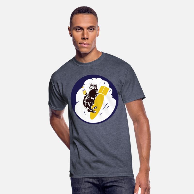 SSI AAC 422nd Bomb Squadron wo Txt X 300