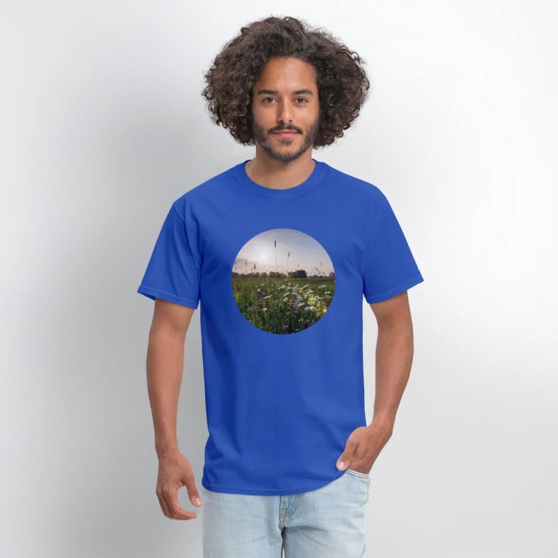 Sunny natural landscape with flowers