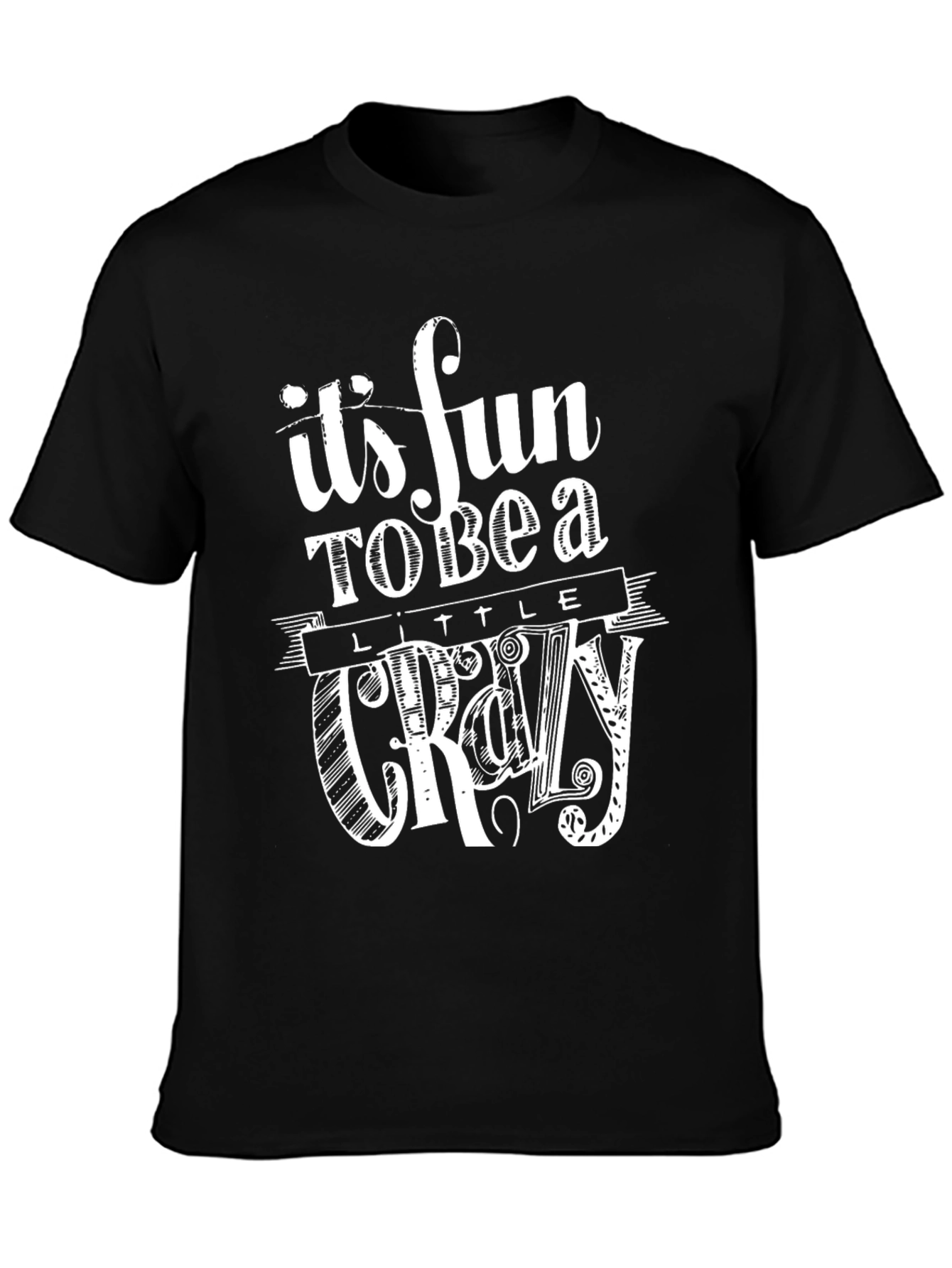 Its Fun to Be a Little Crazy Graphic T-Shirt
