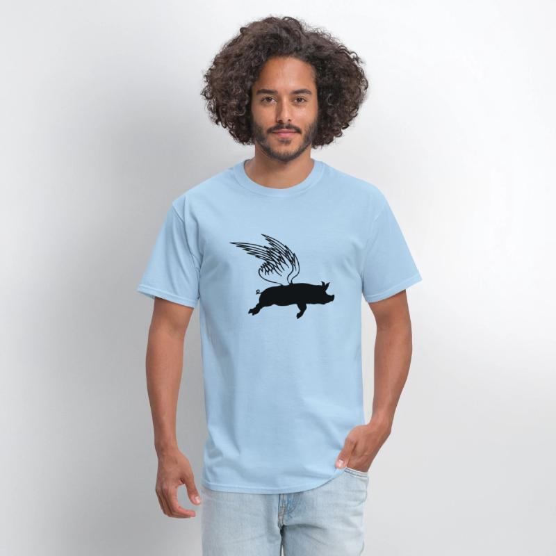 When flying wings can make pigs fly funny saying