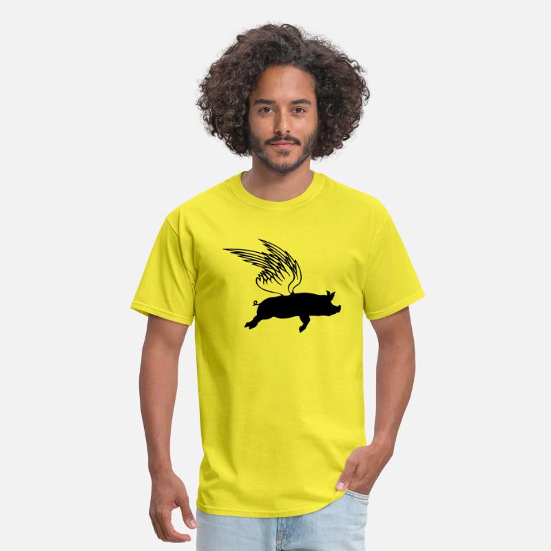 When flying wings can make pigs fly funny saying