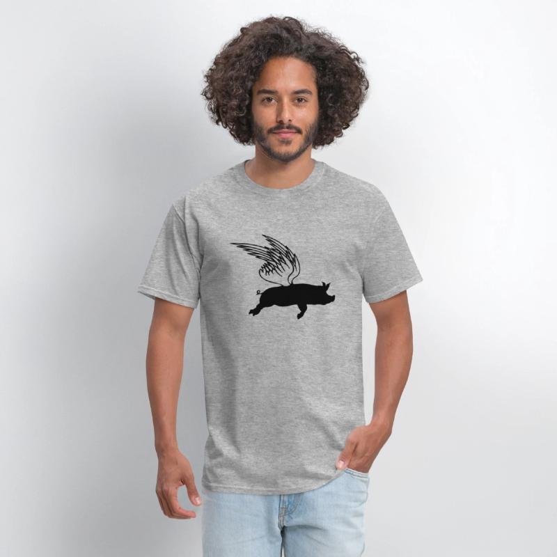 When flying wings can make pigs fly funny saying